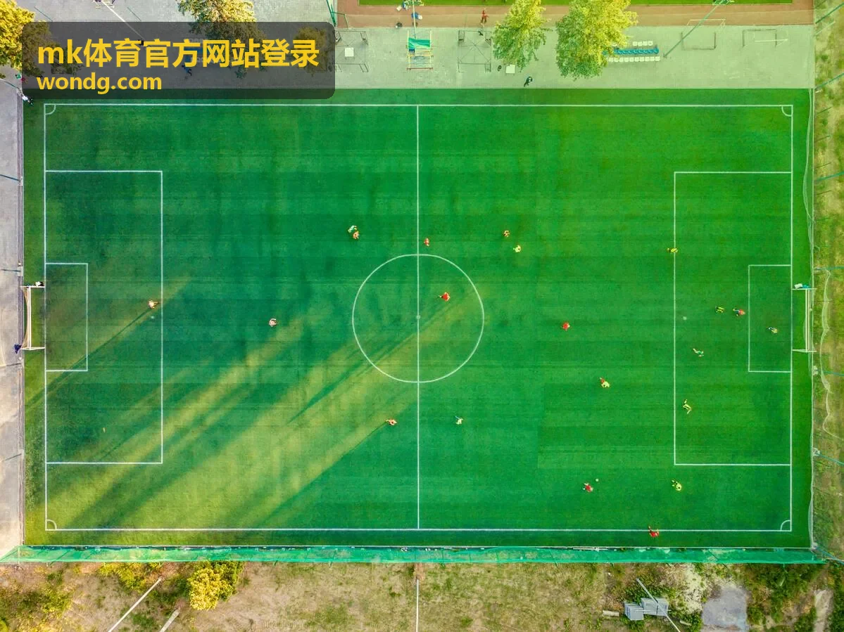 mk体育官方网站登录账号安全与验证设置示意