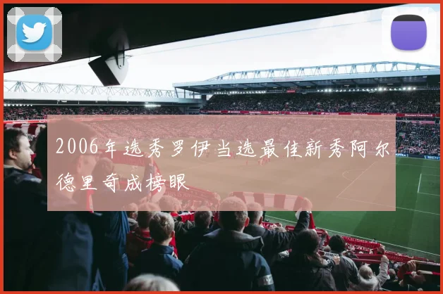 2006年选秀罗伊当选最佳新秀阿尔德里奇成榜眼